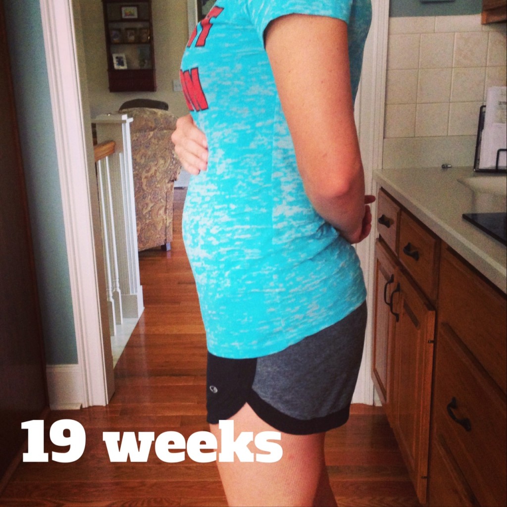 19 week bump