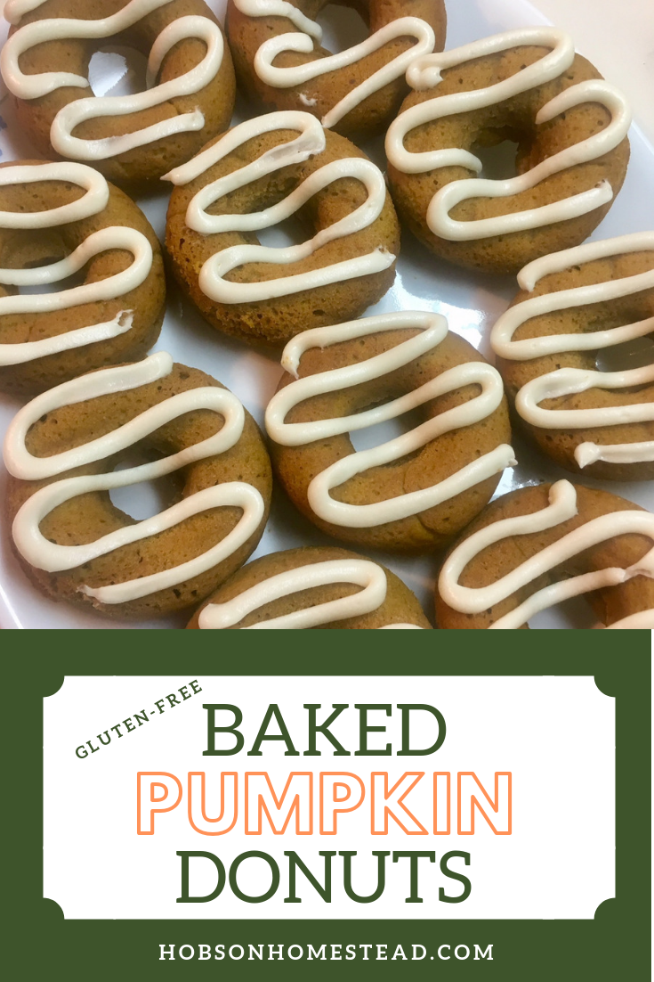 gluten-free baked pumpkin donuts