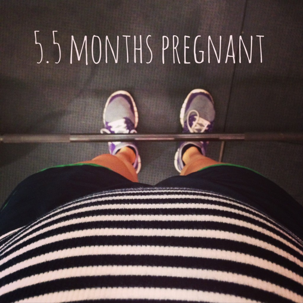 5.5 months pregnant