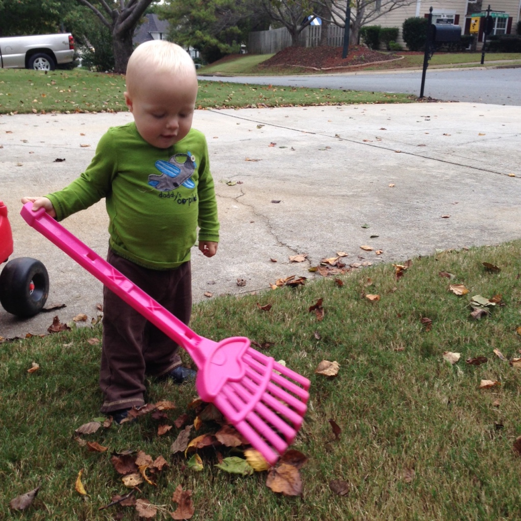 beau raking leaves