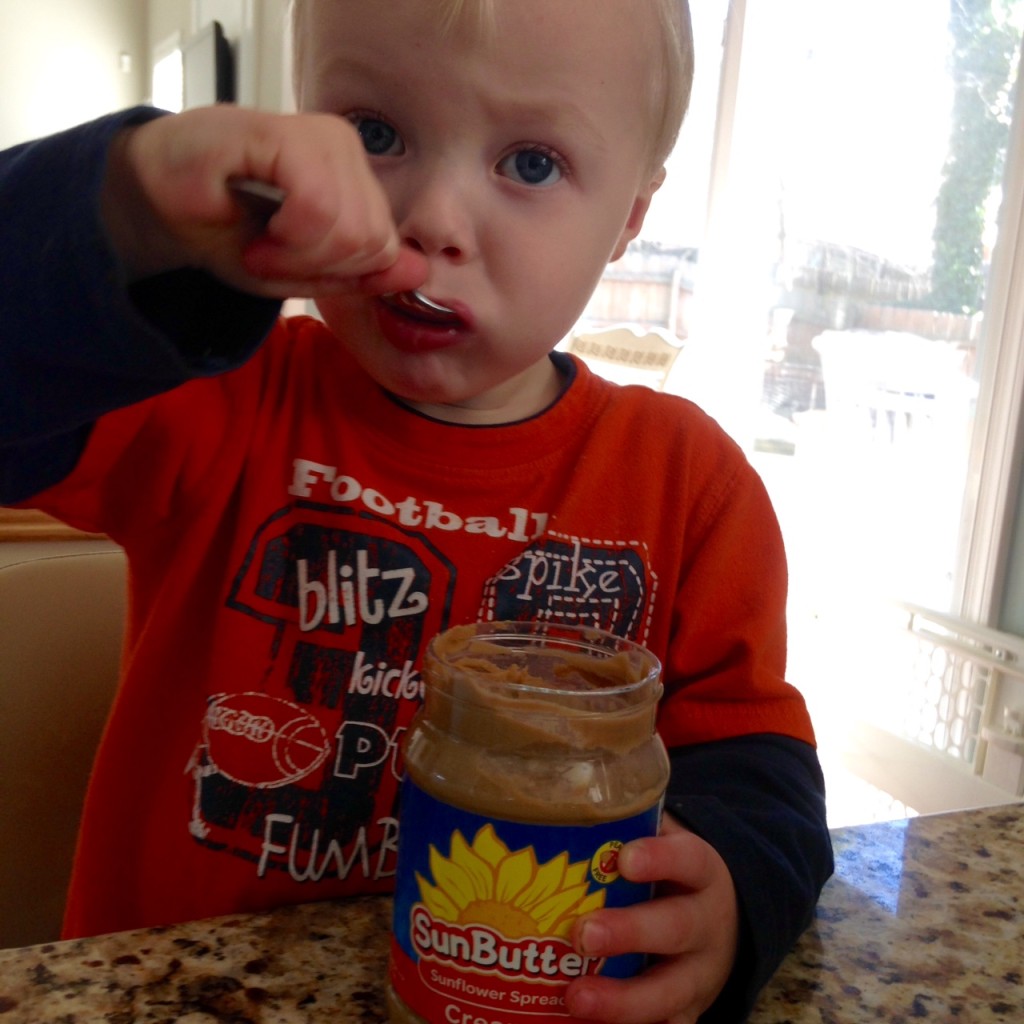 toddler spoonful sunbutter