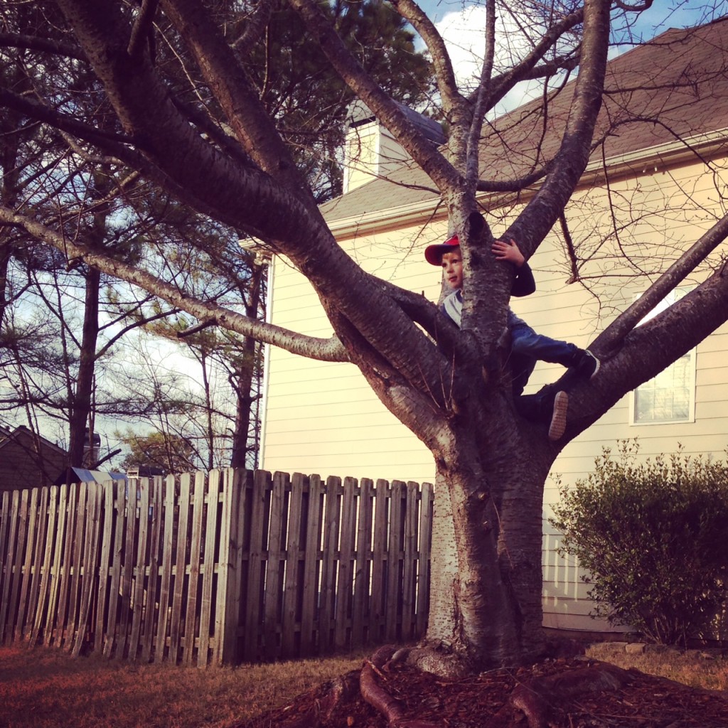 jm climbing tree