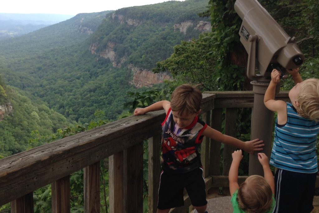 cloudland canyon view with kids