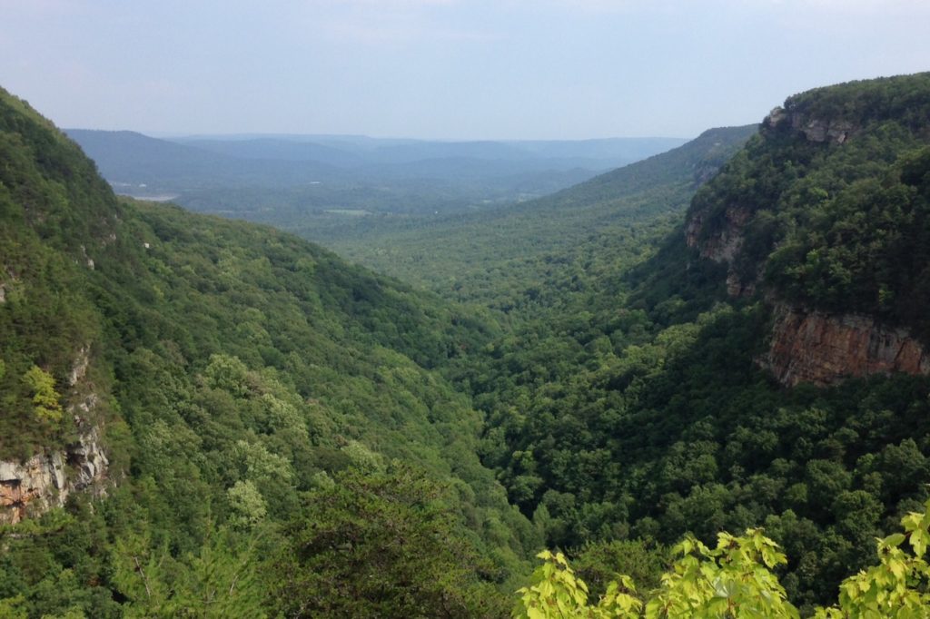 cloudland canyon in august