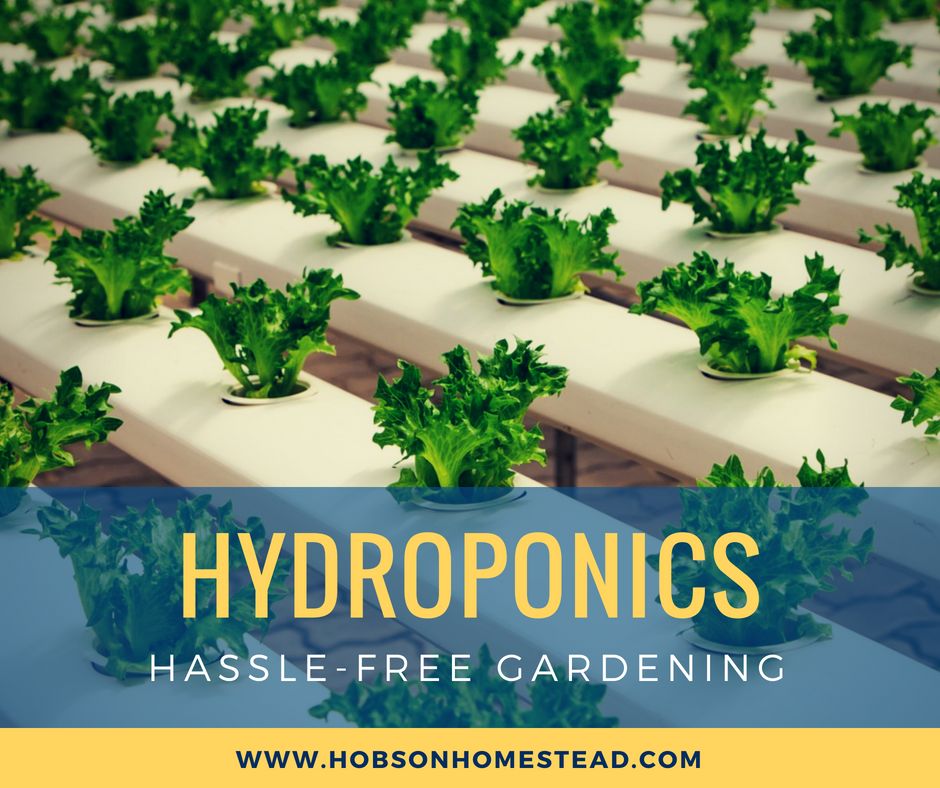 hydroponics gardening