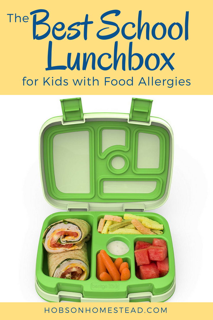 best lunchbox for kids with food allergies