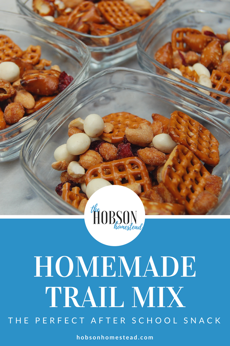 Homemade Trail Mix: The Perfect After School Snack