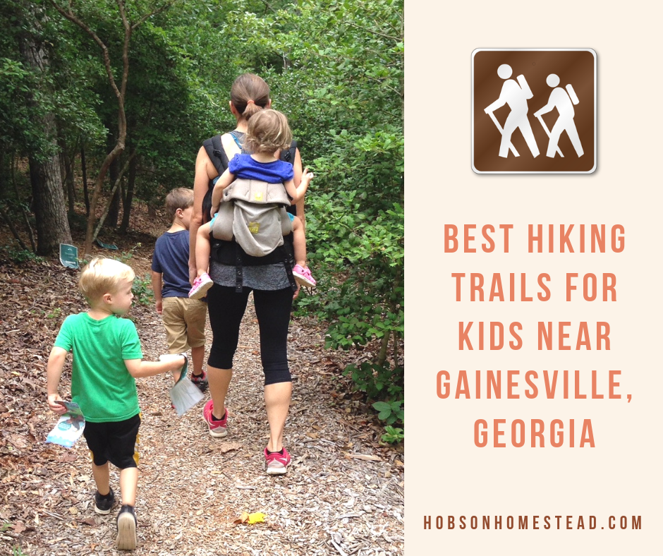 hiking trails for kids near gainesville
