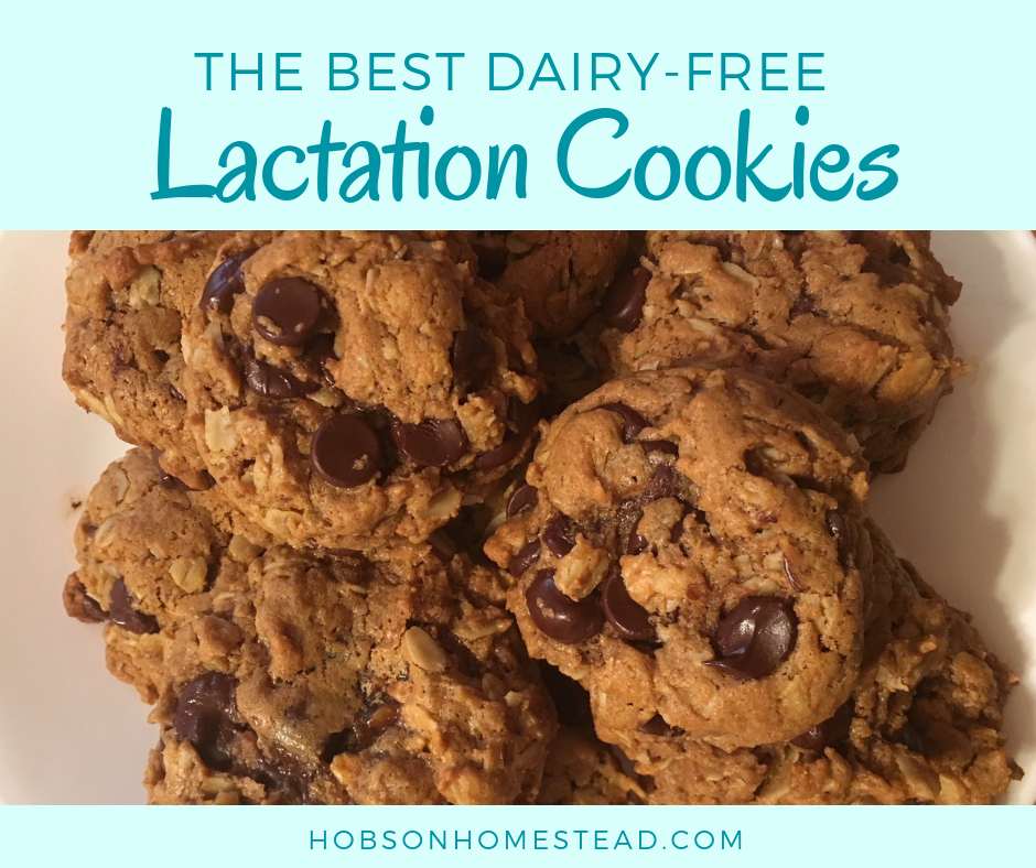 The Best DairyFree Lactation Cookies Hobson Homestead
