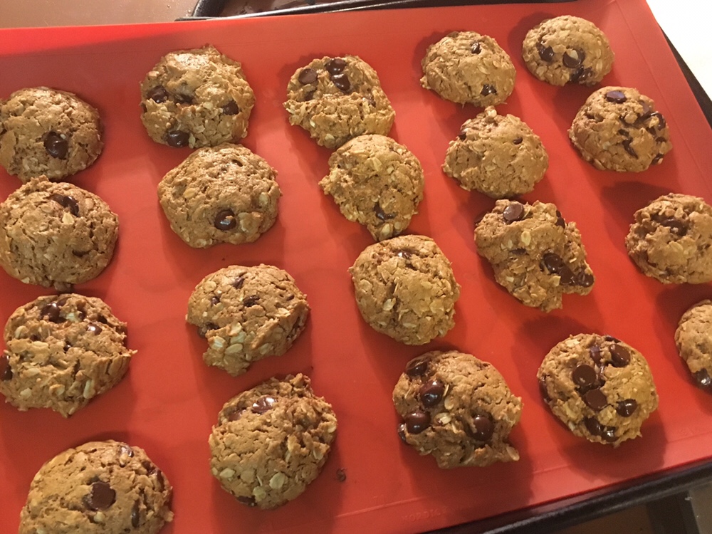 dairy-free lactation cookies