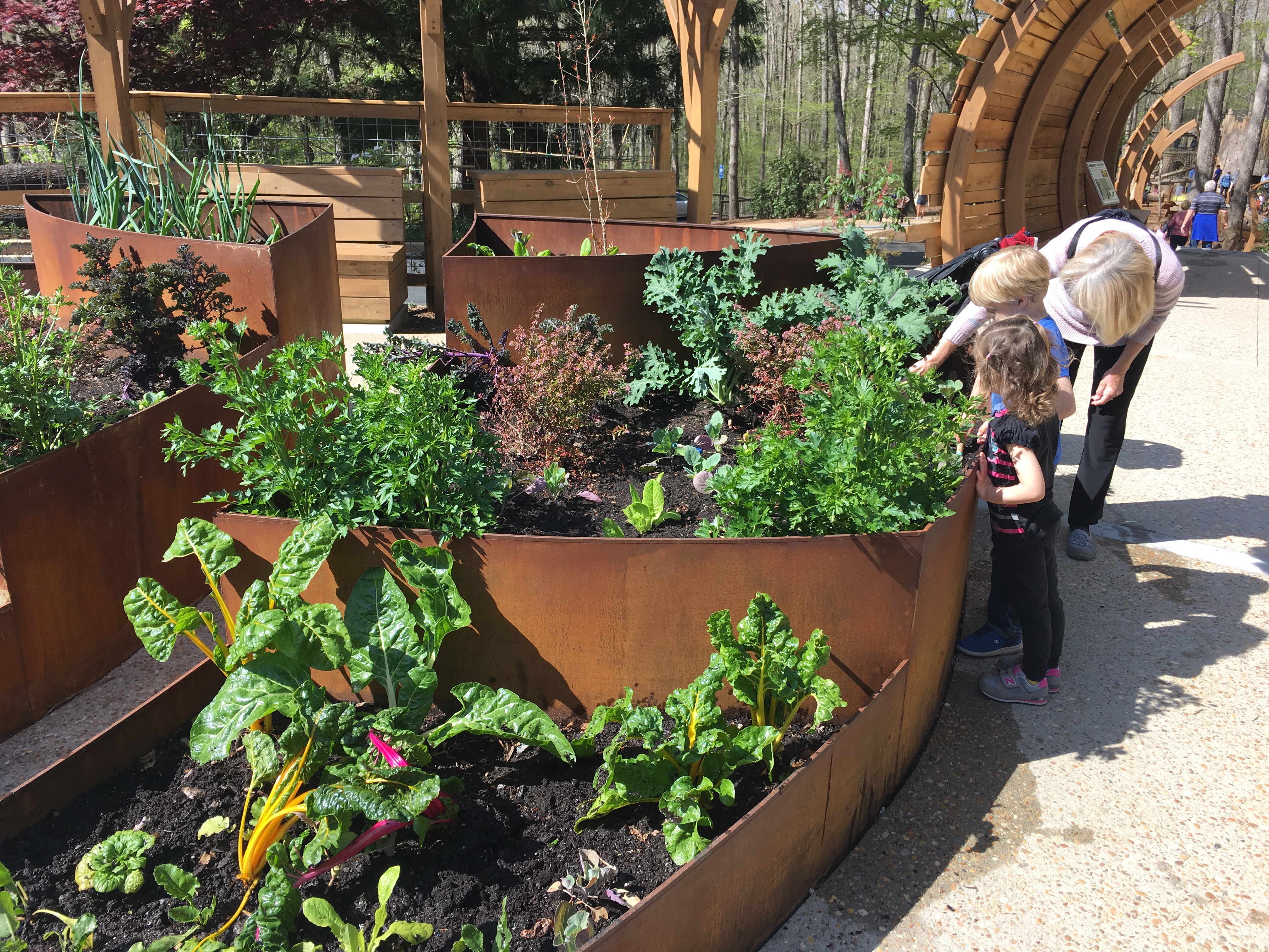 Children's Garden at State Botanical Gardens of Georgia 