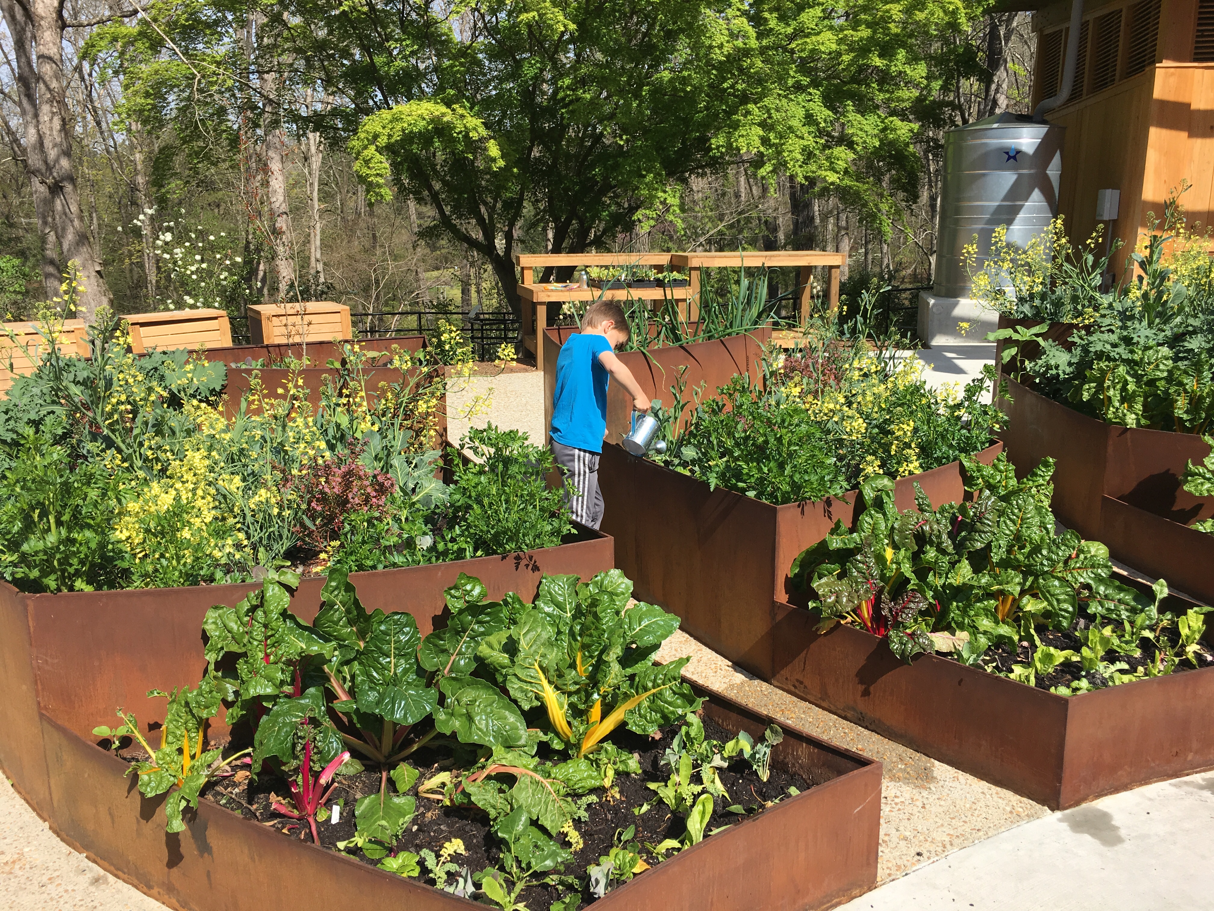 Children's Garden at State Botanical Gardens of Georgia 