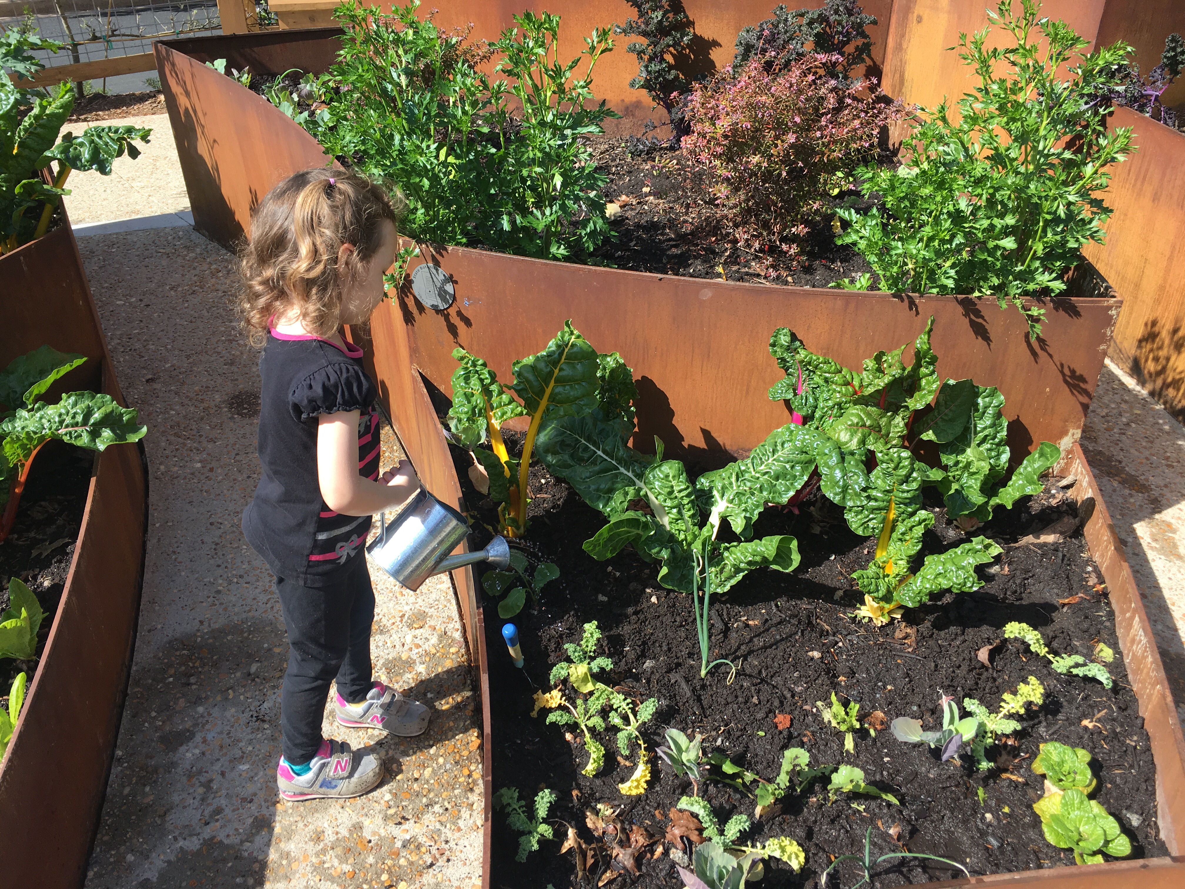 Children's Garden at State Botanical Gardens of Georgia 