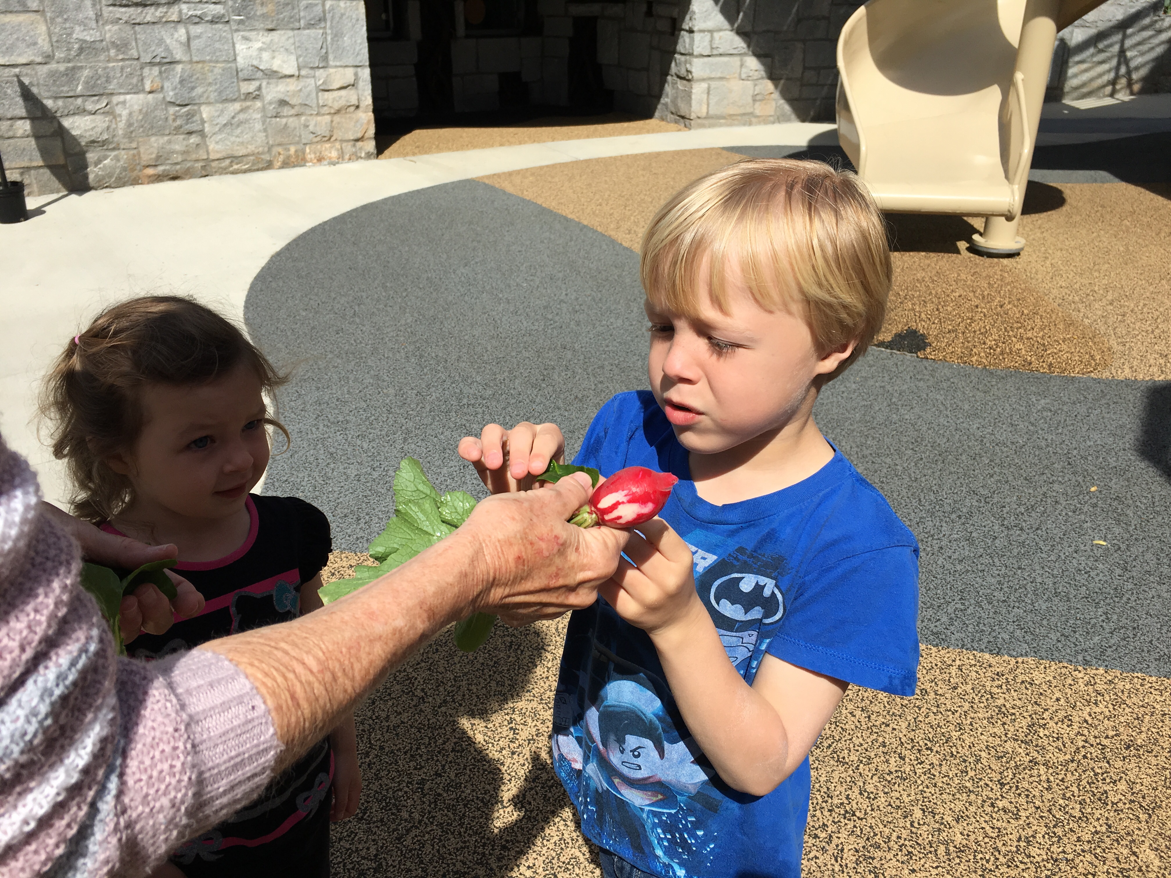 Children's Garden at State Botanical Gardens of Georgia 