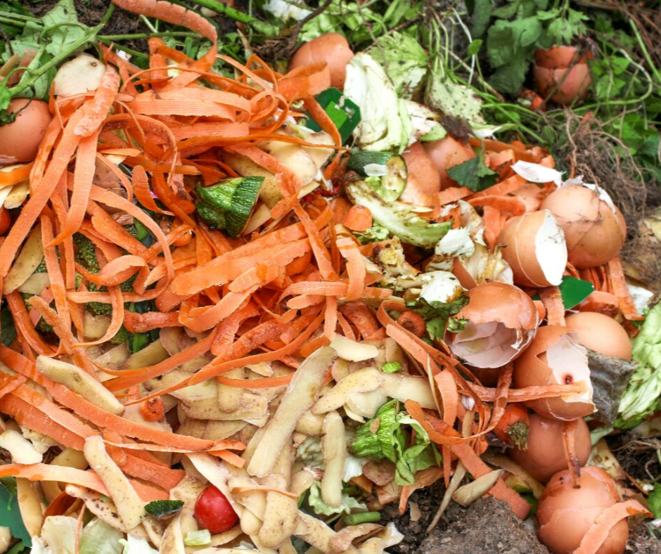 compost to reduce food waste
