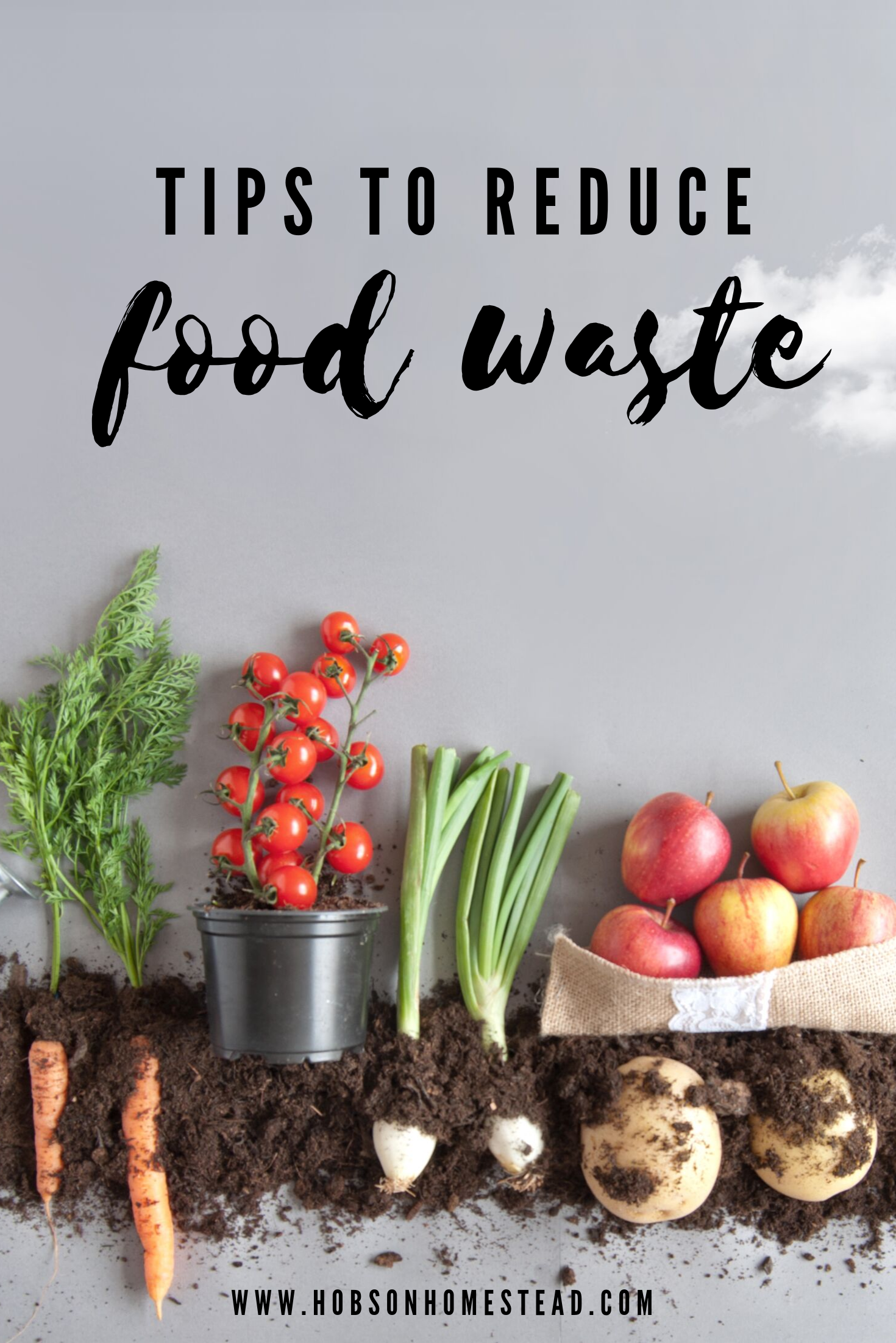 tips to reduce food waste