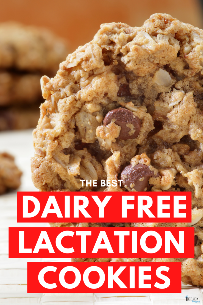 the best dairy free lactation cookies