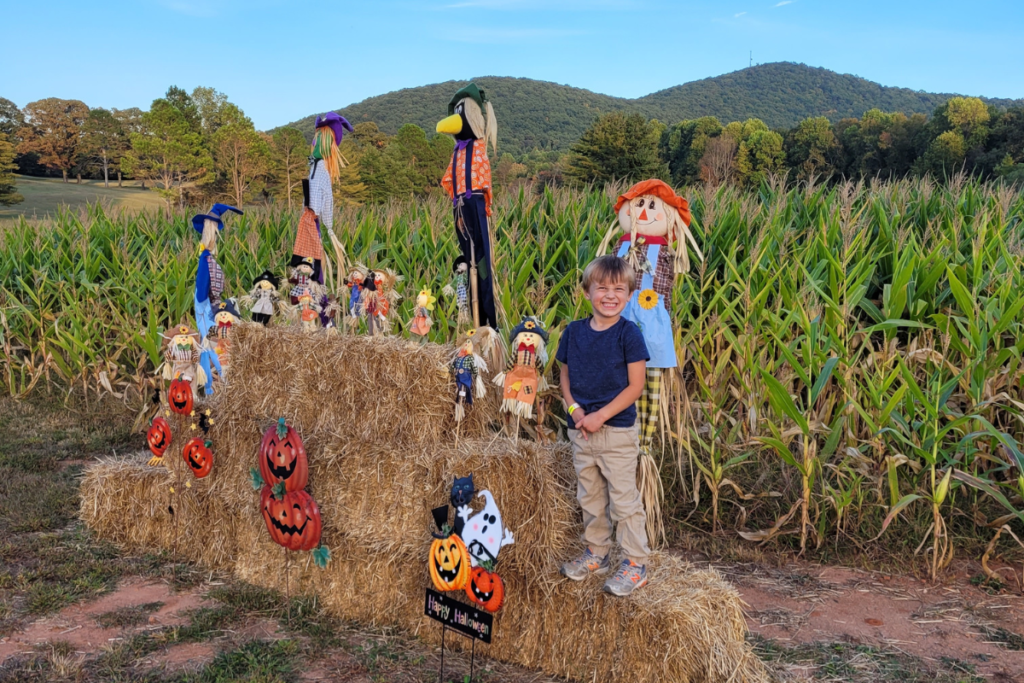 skitts mountain farms corn maze