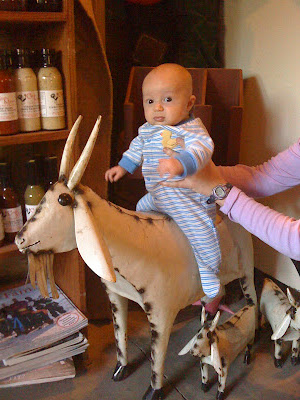 baby riding goat