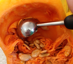 melon scraper butternut squash