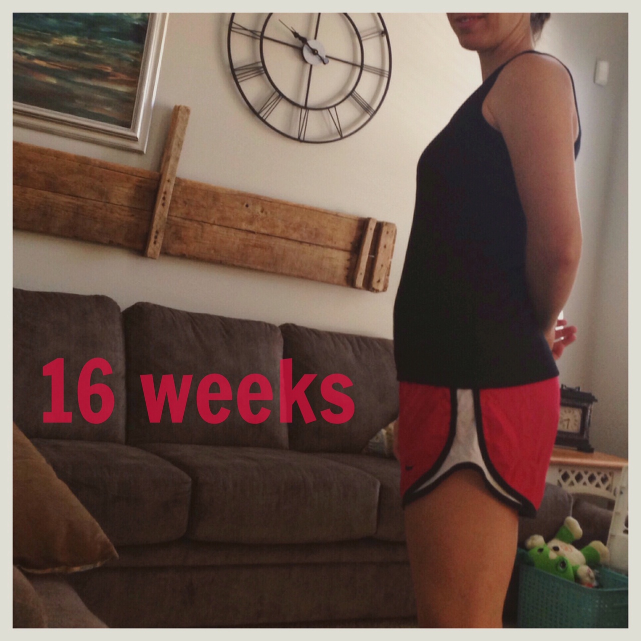 16 weeks pregnant