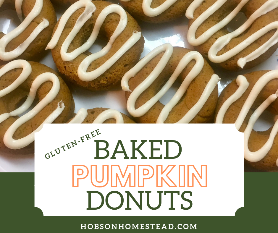 gluten-free baked pumpkin donuts