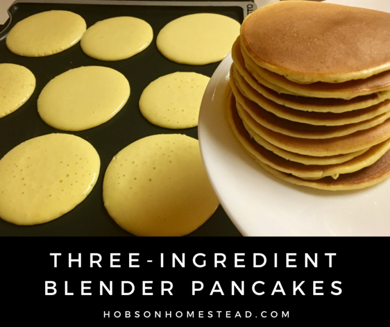 ThreeIngredient Blender Pancakes [GlutenFree, NutrientDense] The