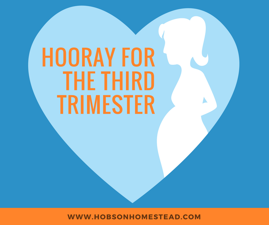 third trimester, 28 weeks pregnant