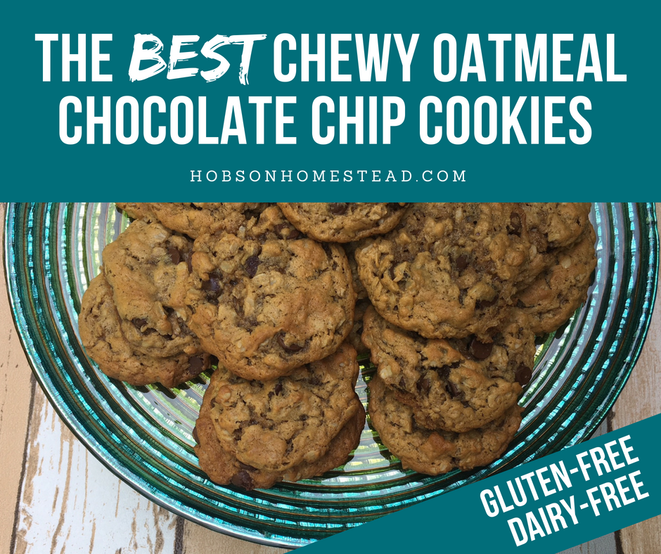 best chewy oatmeal chocolate chip cookies