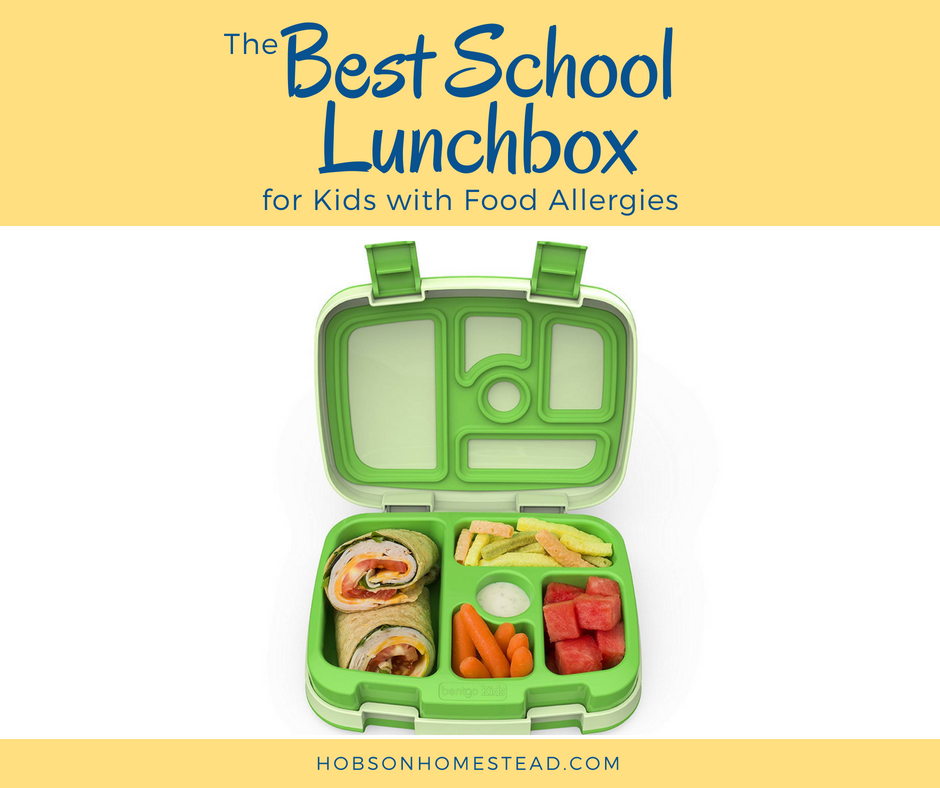best school lunchbox for kids with food allergies