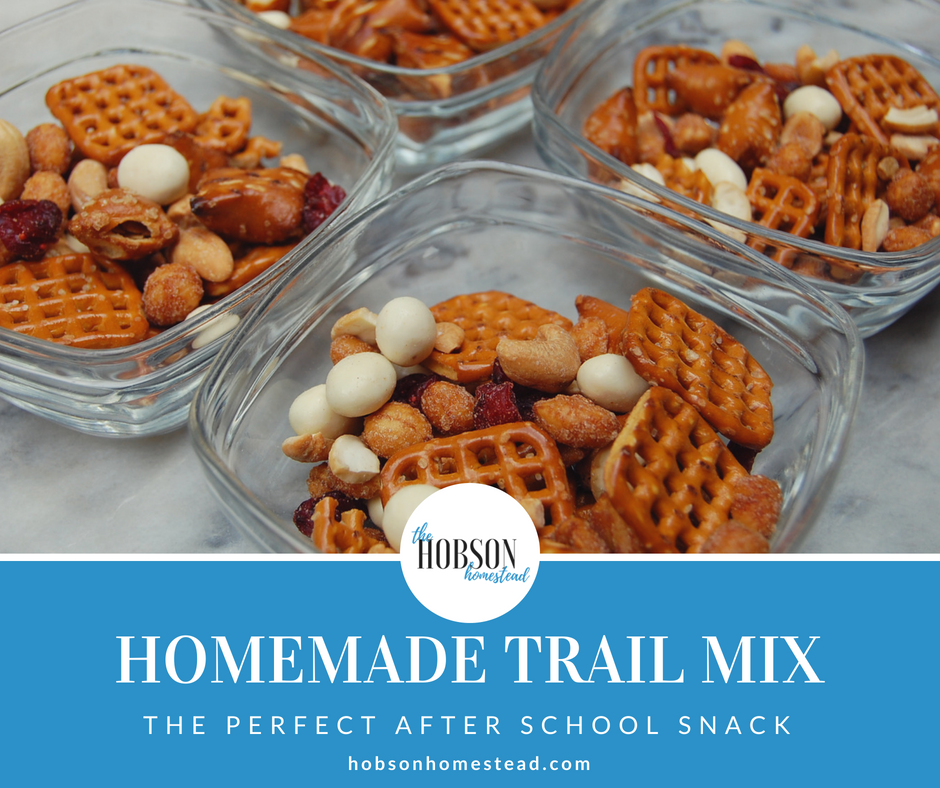 Homemade Trail Mix: The Perfect After School Snack