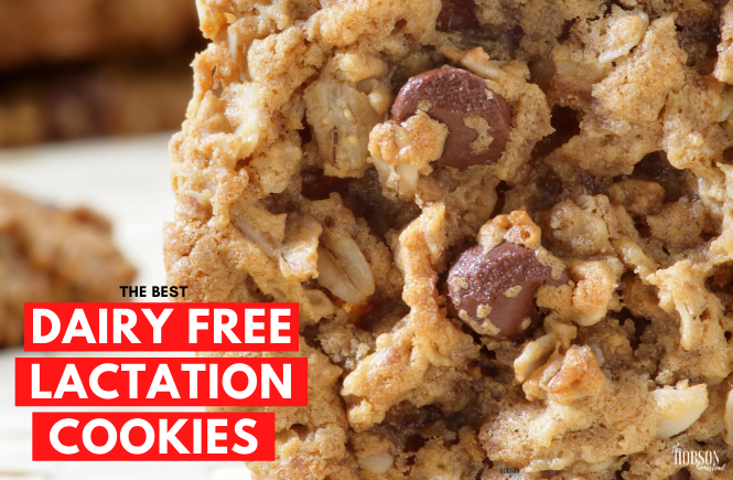 dairy free lactation cookies