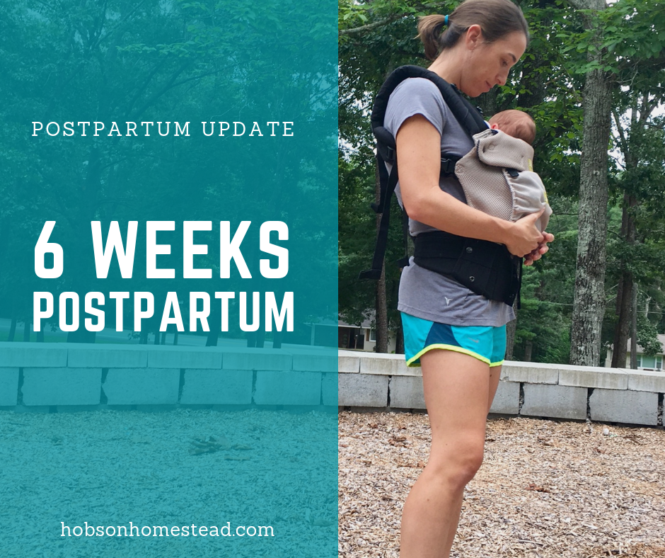 6 weeks postpartum