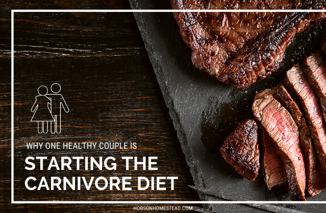 starting the carnivore diet