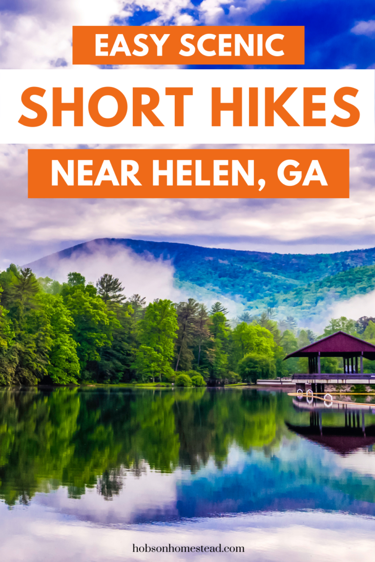 Easy Scenic Short Hikes Near Helen, The Hobson Homestead