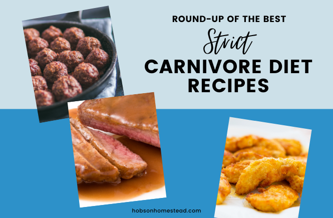 best strict carnivore diet recipes