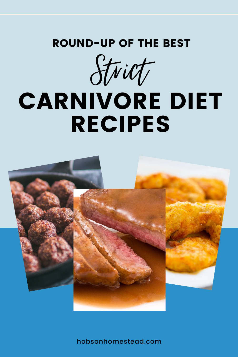 Round-Up Of The Best Strict Carnivore Diet Recipes