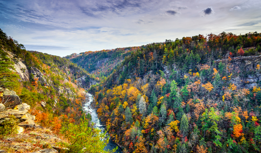 Where to See the Most Colorful Fall Foliage Near Helen: Tallulah Gorge
