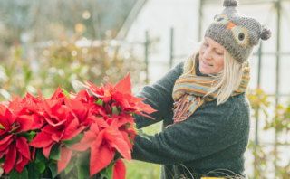 How to Fill Your Heart and Home with Christmas Joy