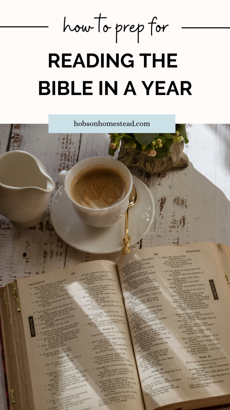 How to Prep for Reading the Bible in a Year - The Hobson Homestead