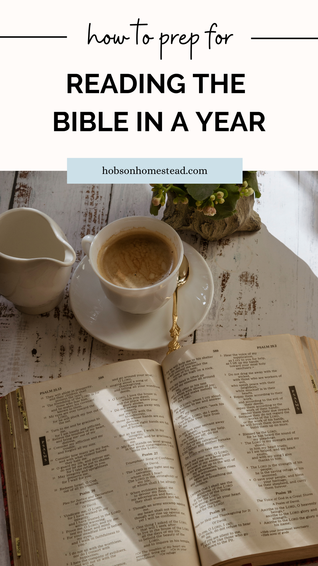 How to Prep for Reading the Bible in a Year