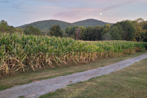5 Reasons to Visit Skitts Mountain Farms This Fall